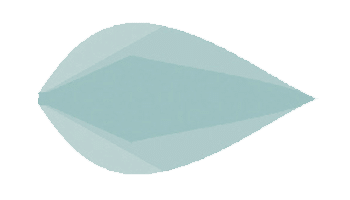 Motif végétal 4